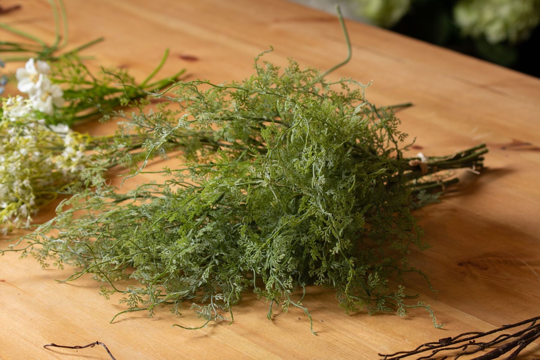 Asparagus Fern Bunch_4383