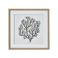 Atol Coral Art Mounted In Beaded Frame [cid:23802]