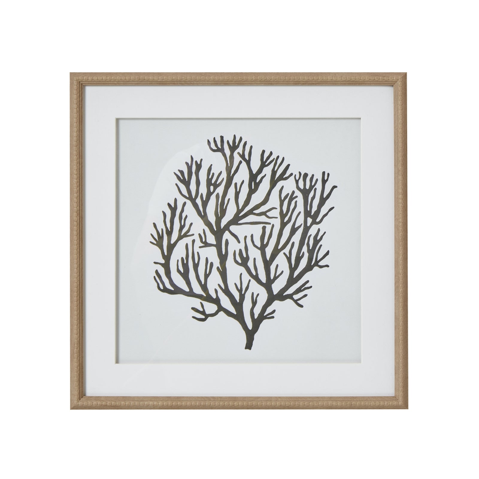 Atol Coral Art Mounted In Beaded Frame [cid:23802]
