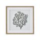 Atol Coral Art Mounted In Beaded Frame [cid:23802]