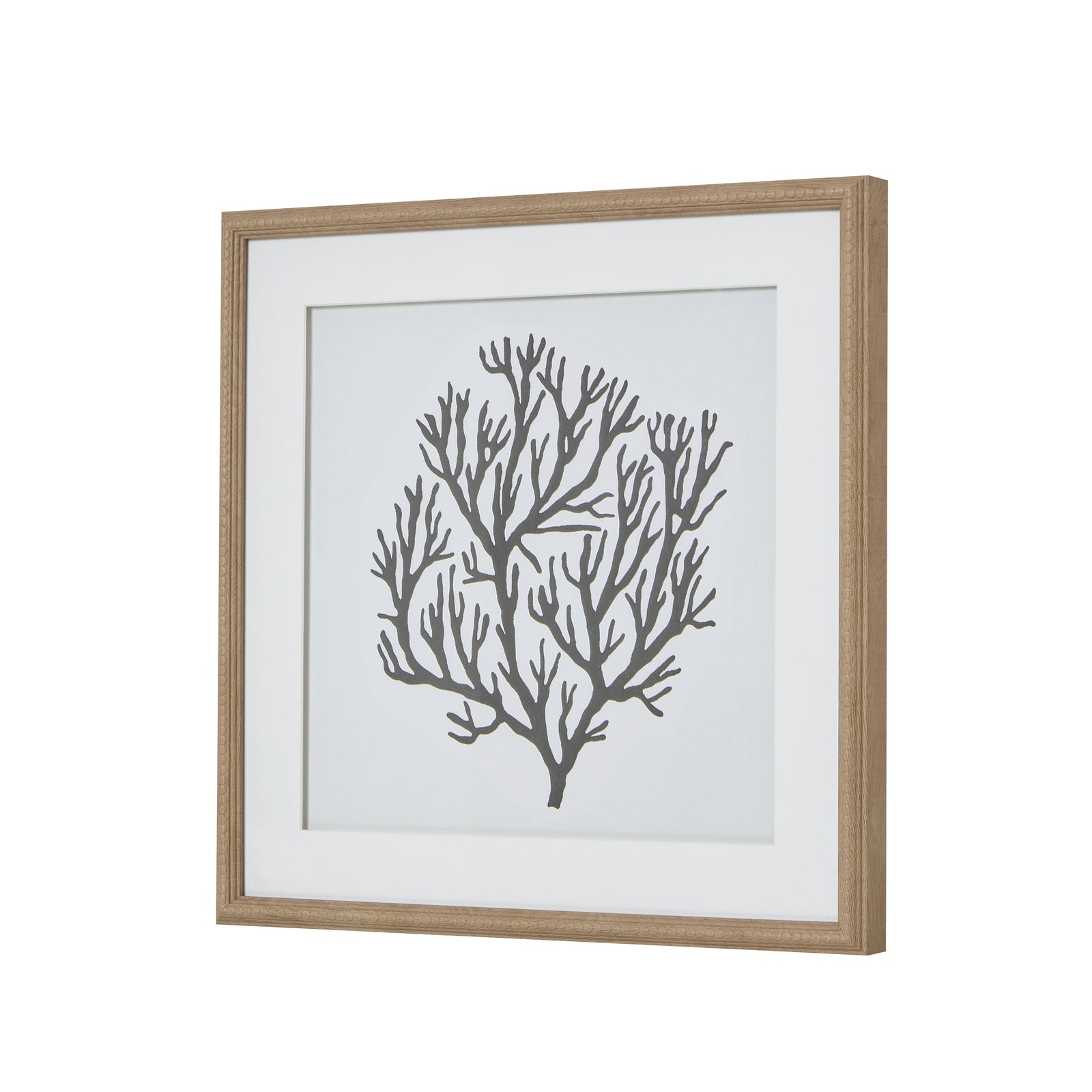 Atol Coral Art Mounted In Beaded Frame [cid:23802-a]
