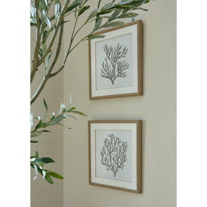 Atol Coral Art Mounted In Beaded Frame [cid:23802-d]
