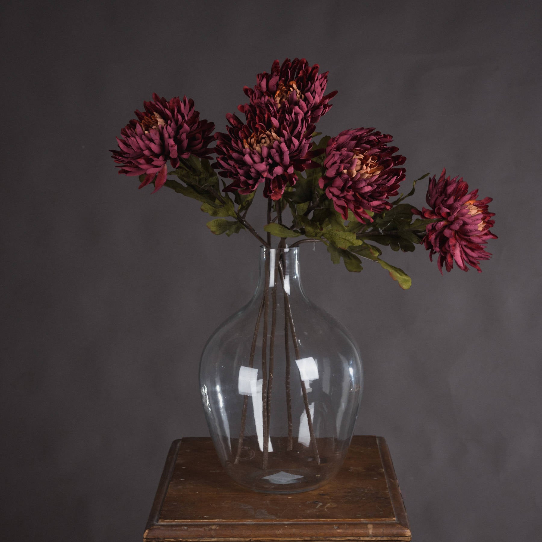 Autumn Spider Chrysanthemum_4402