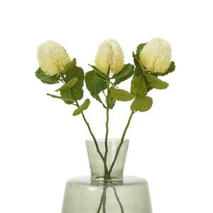 Cream Banksia Stem [cid:23814-b]