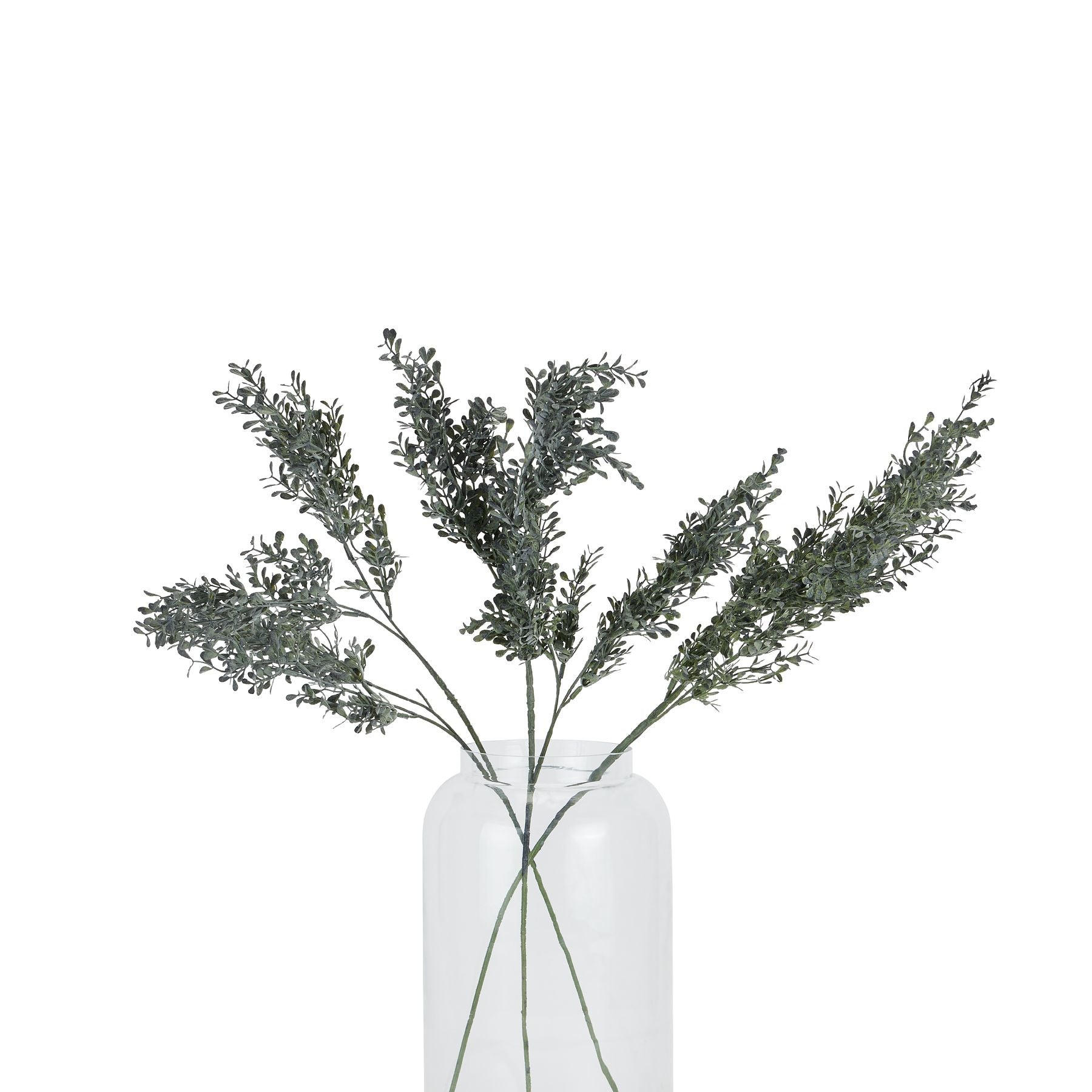 Blackened Grass Spray Stem_4419