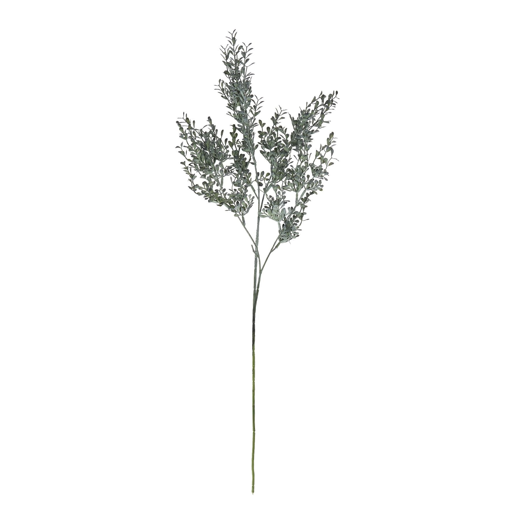 Blackened Grass Spray Stem_4418