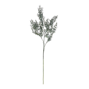 Blackened Grass Spray Stem_4418
