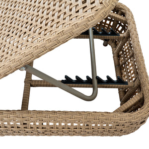 Bloom Collection Outdoor Sunbed_153