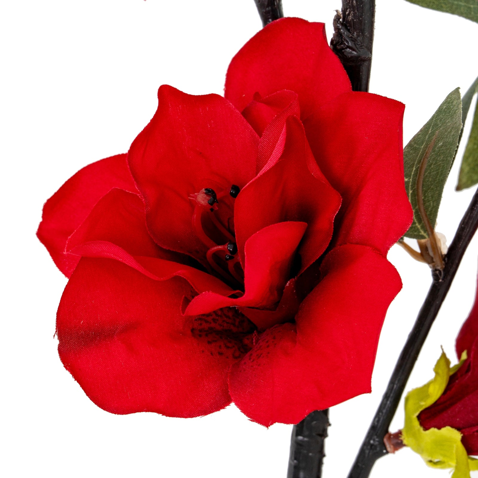 Crimson Bloom Large Spray_4717