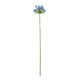 Blue Agapanthus Stem [cid:23867]
