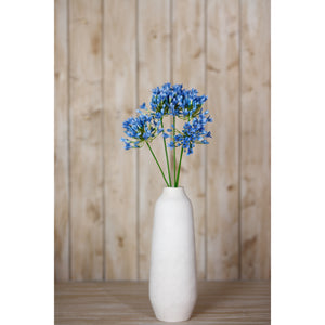 Blue Agapanthus Stem [cid:23867-c]