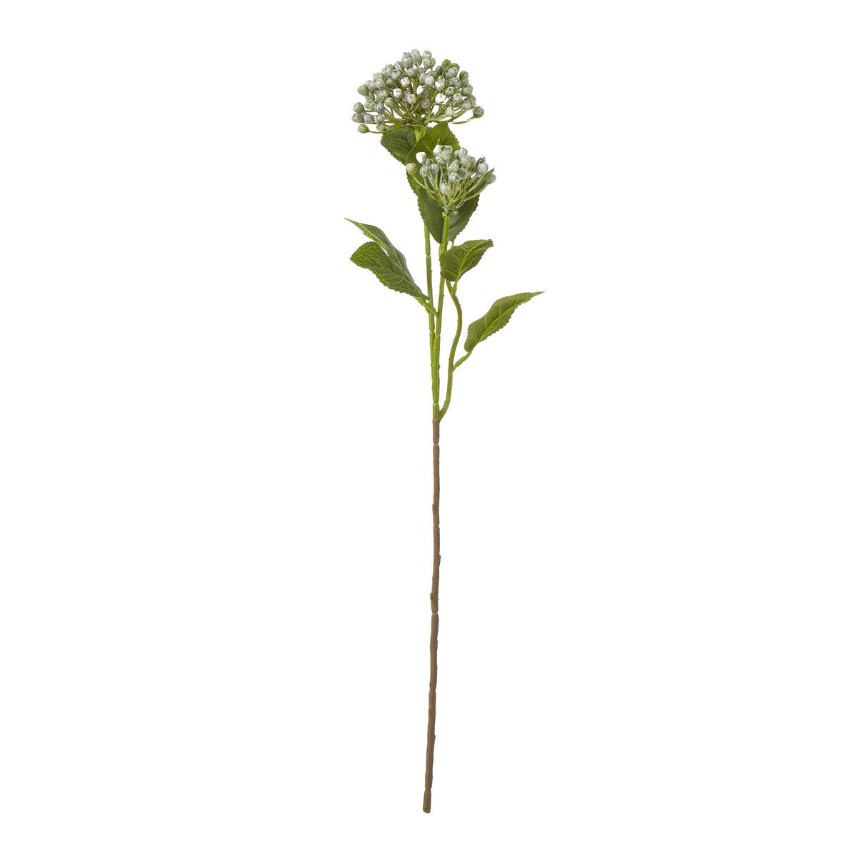Blue Budding Hydrangea Spray_4433