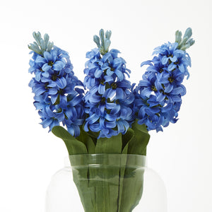 Blue Hyacinth Stem [cid:23875-b]