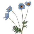 Blue Papaver Oppy Spray_4450
