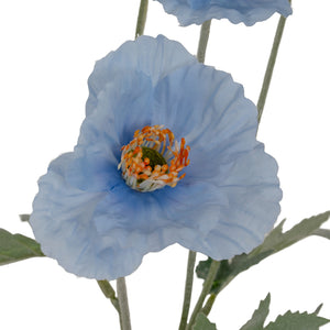 Blue Papaver Oppy Spray_4452