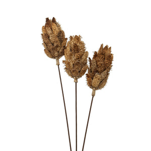Bouquet Of Dried Protea_4464