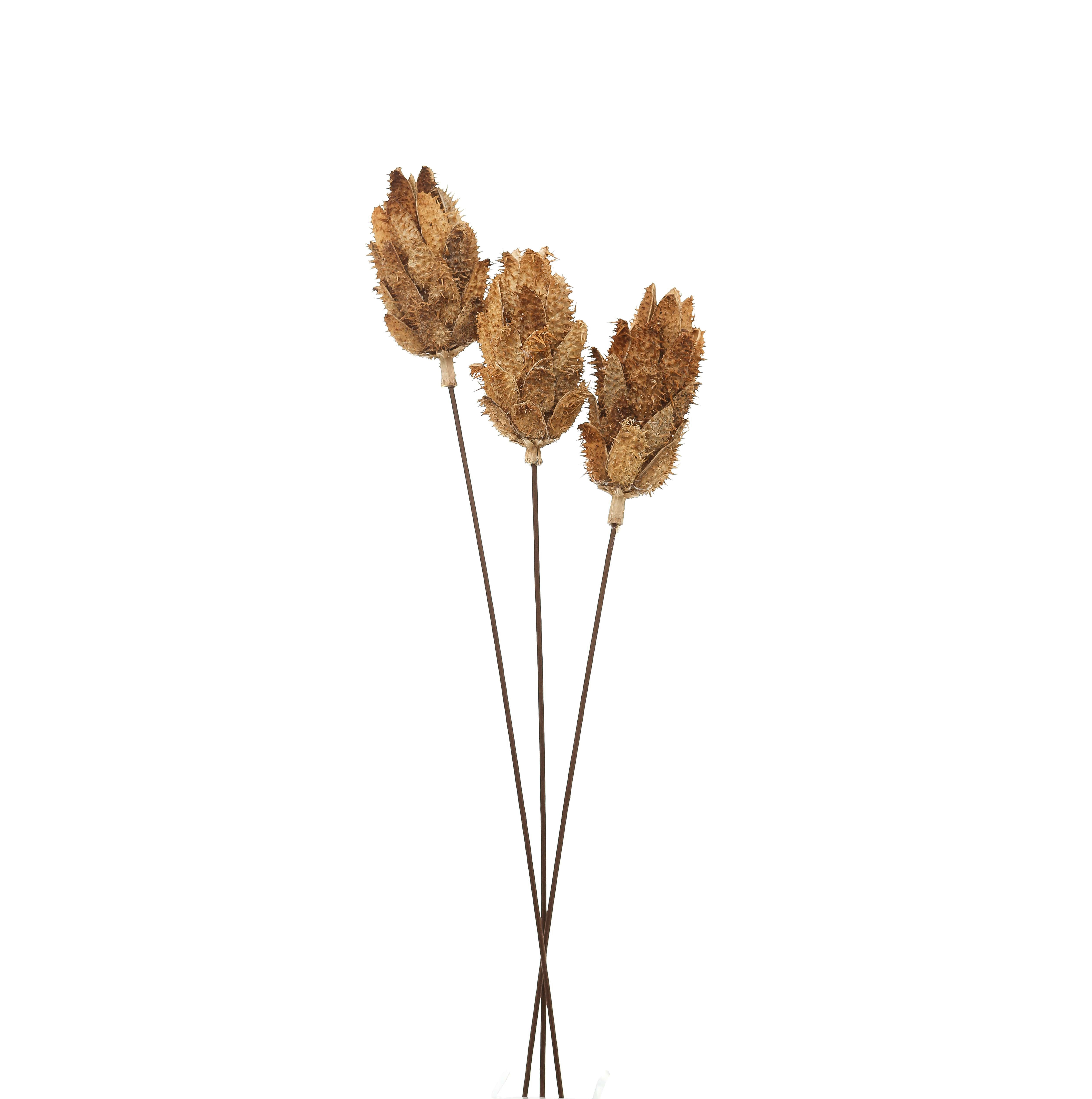 Bouquet Of Dried Protea_4463