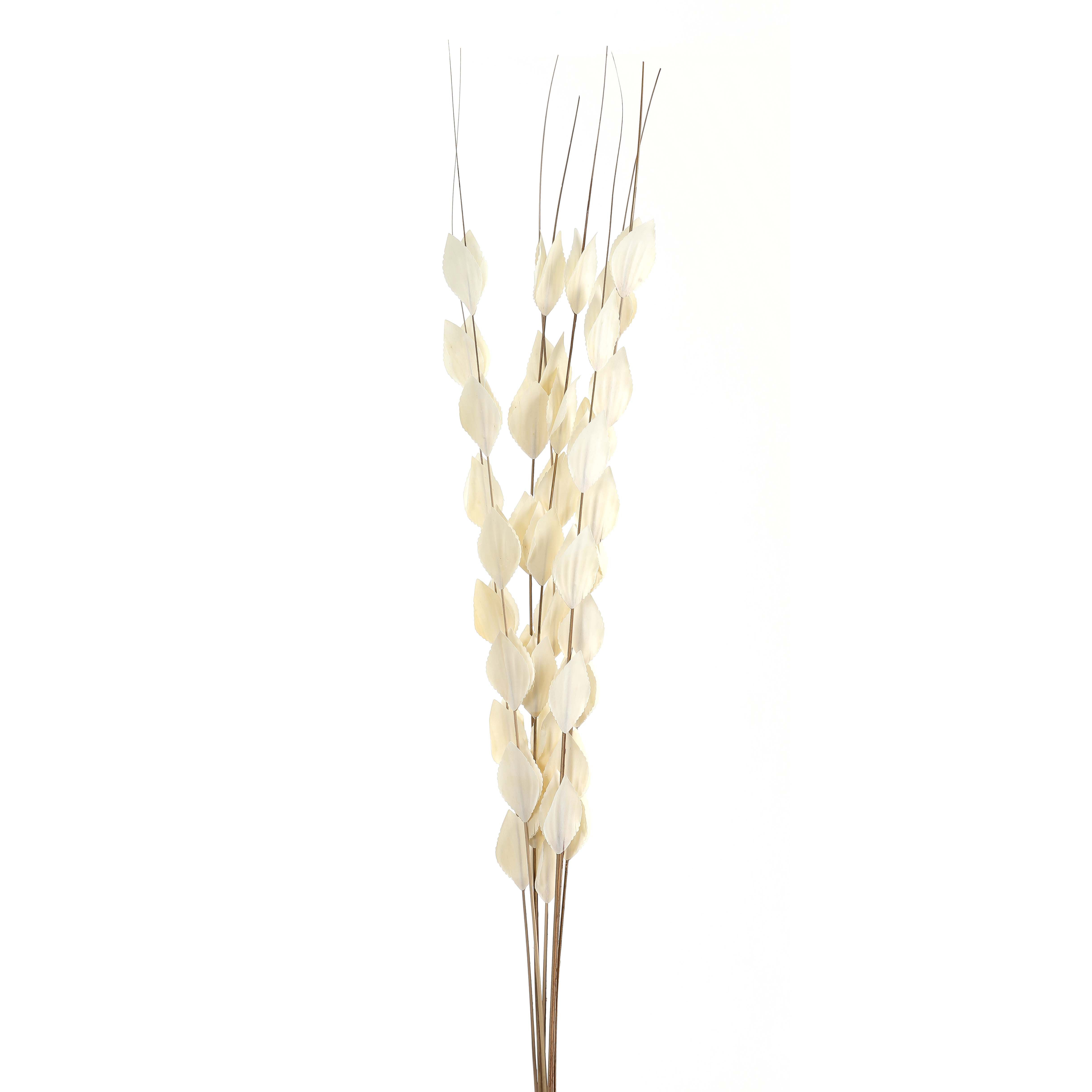 Bouquet Of Dried Thlaspi Arvense_4473