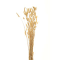 Bouquet Of Tall Bunny Tails_4477
