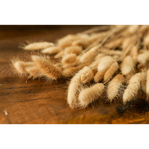 Bouquet Of Tall Bunny Tails_4480
