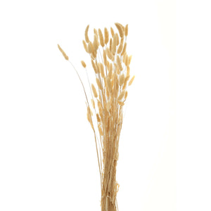 Bouquet Of Tall Bunny Tails_4478