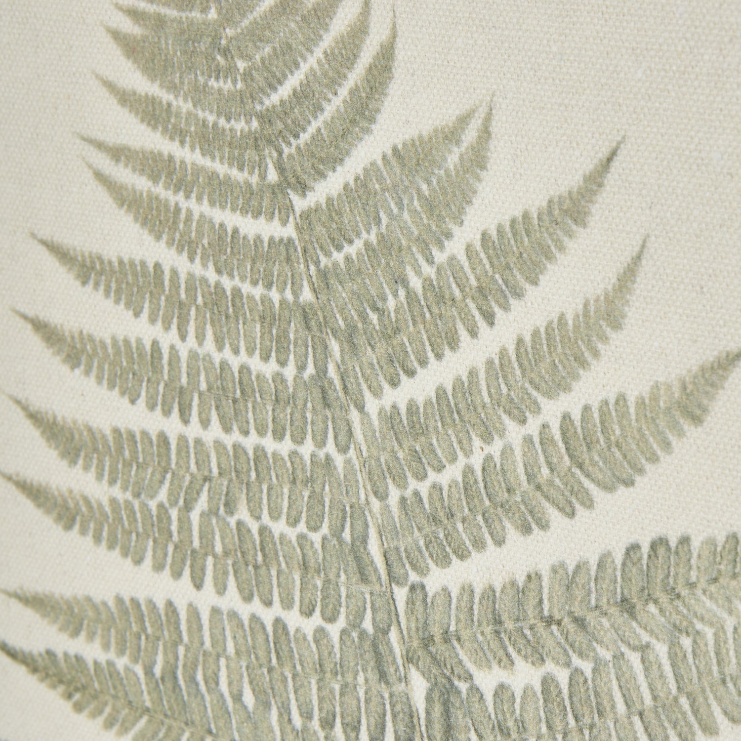 Bracken Art On Texture-Torn Paper With Beaded Frame [cid:23799-b]