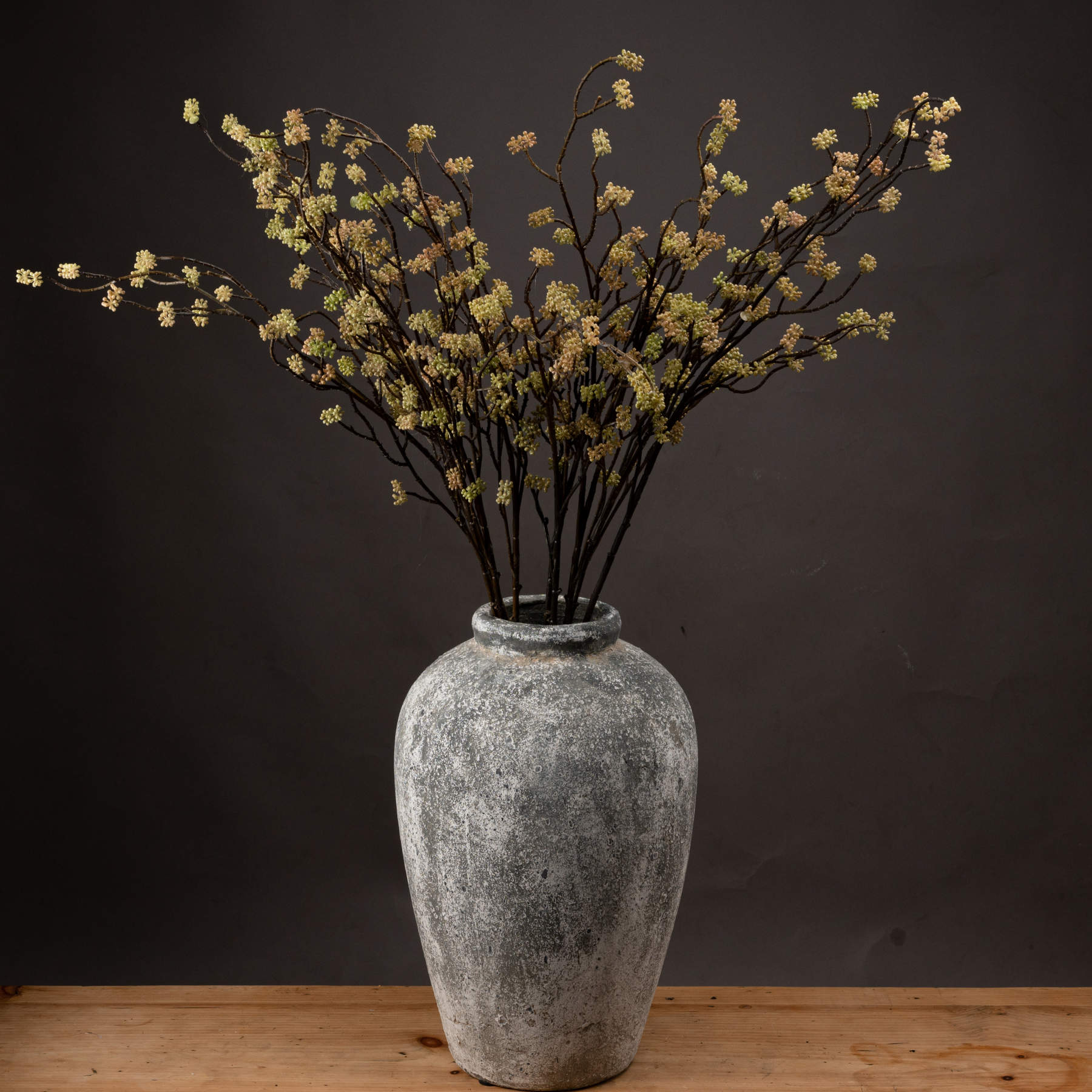 Branch in Bloom Filler_4481