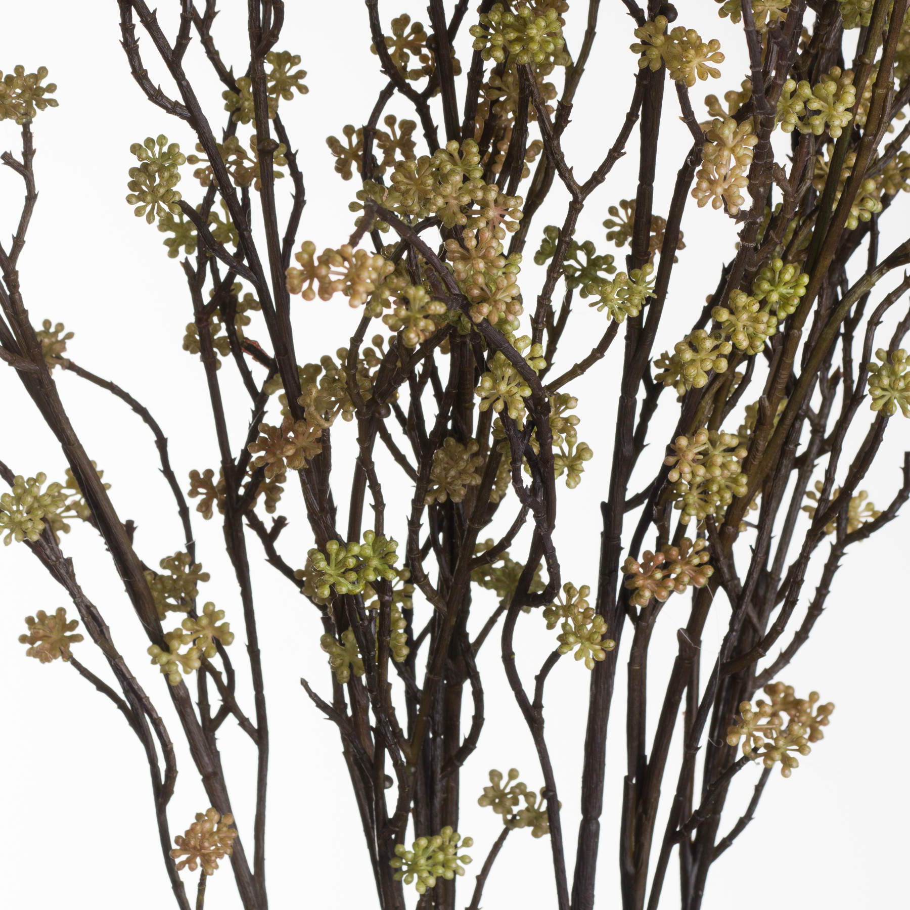 Branch in Bloom Filler_4485