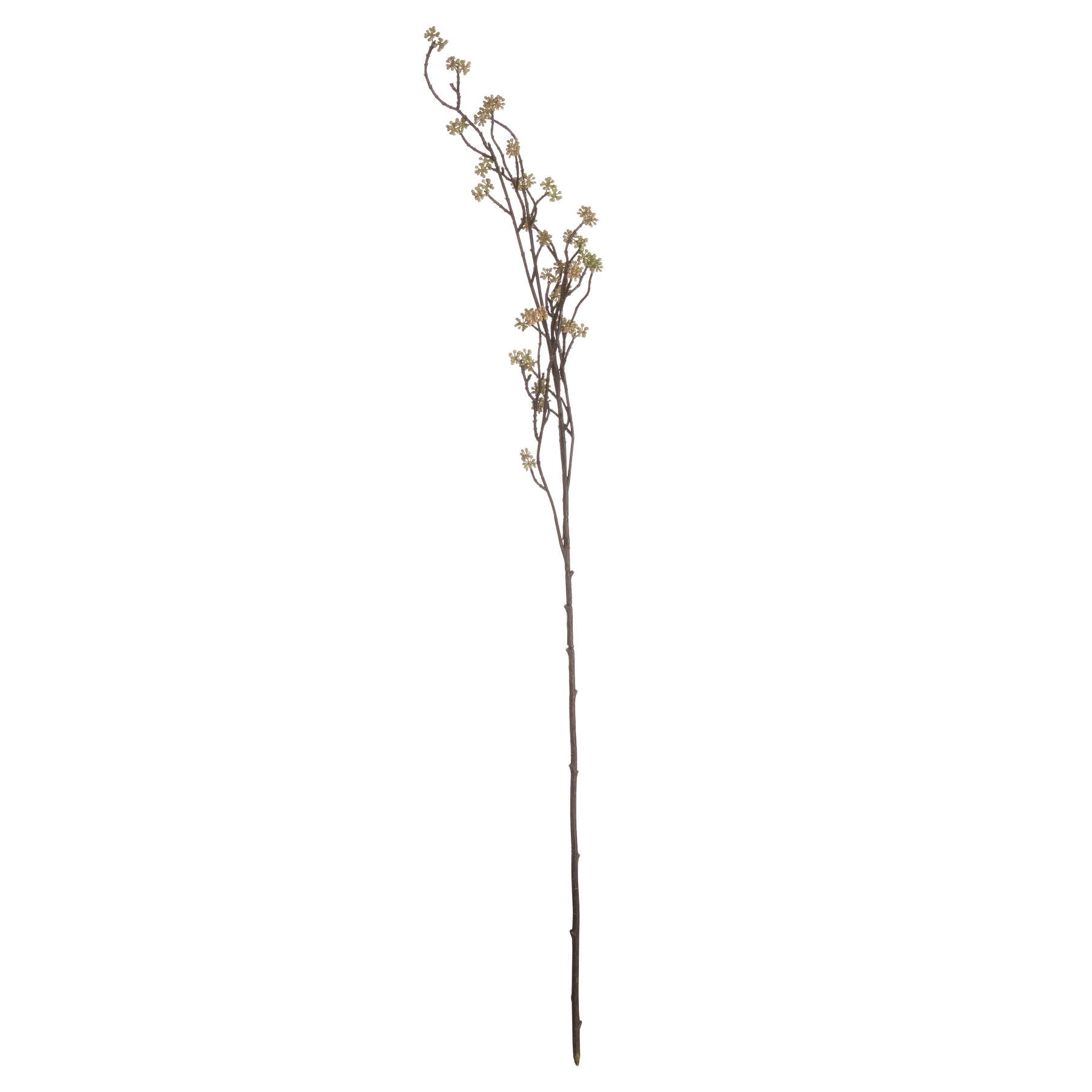 Branch in Bloom Filler_4484