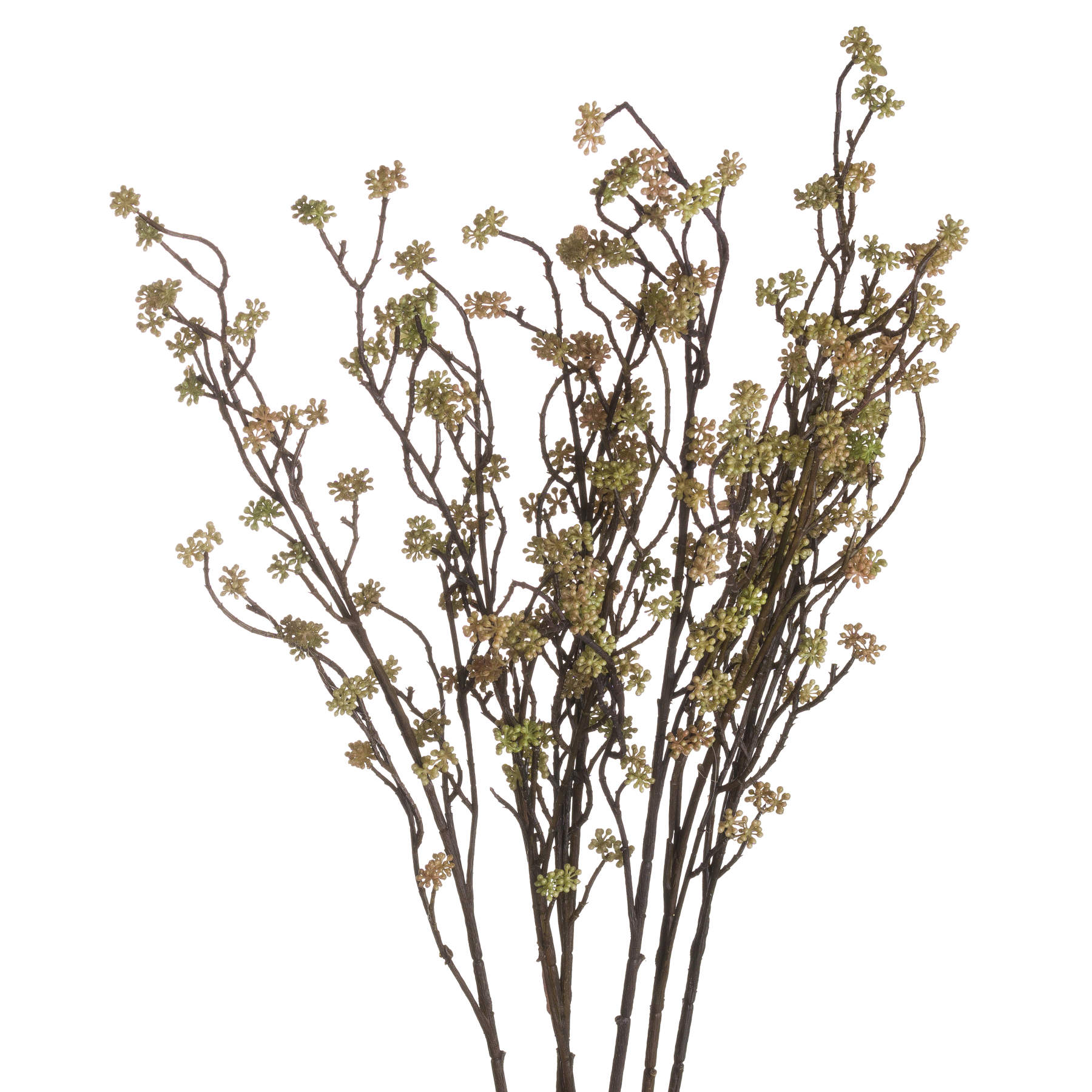 Branch in Bloom Filler_4483