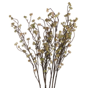 Branch in Bloom Filler_4483
