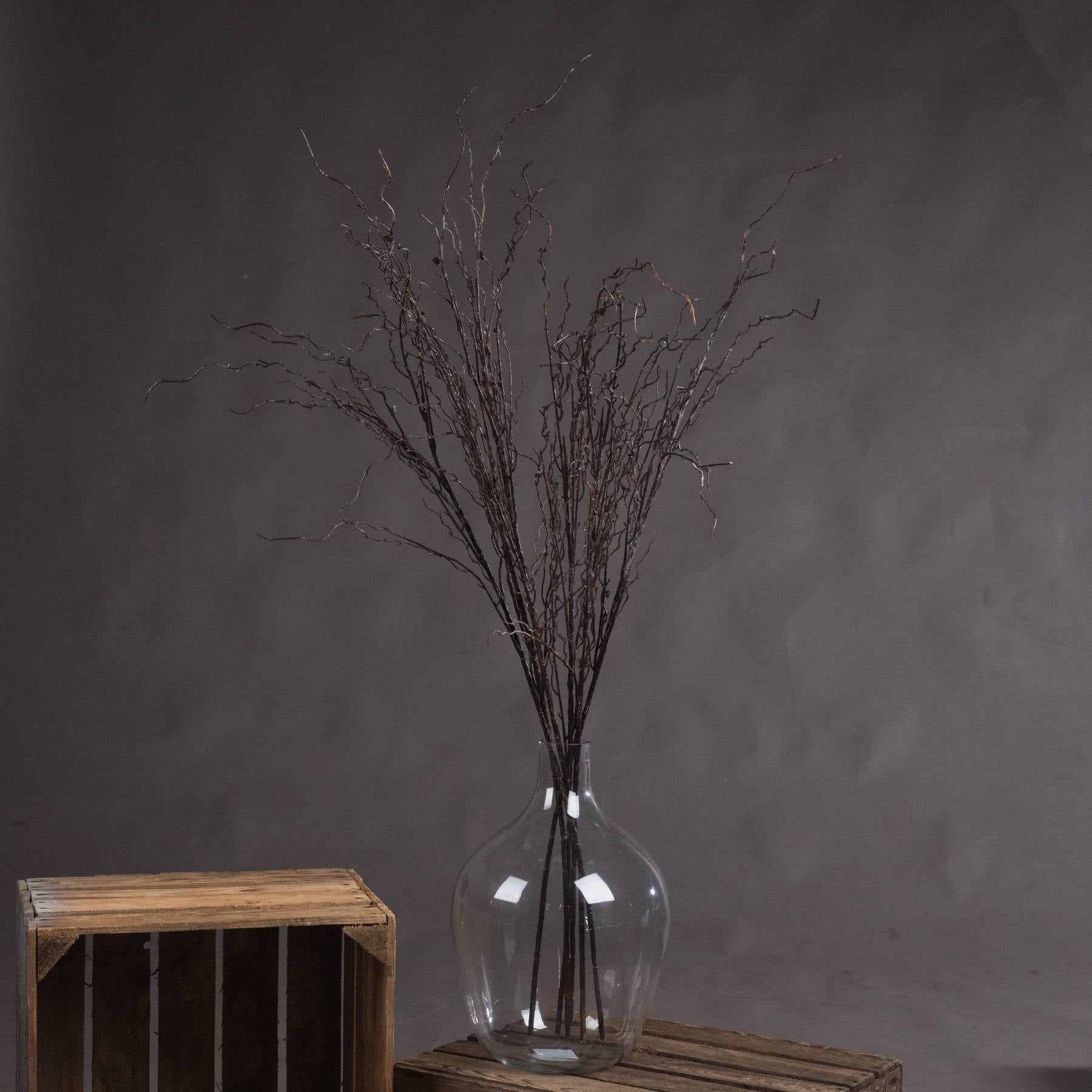 Branch Spray_4486