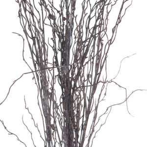 Branch Spray_4490
