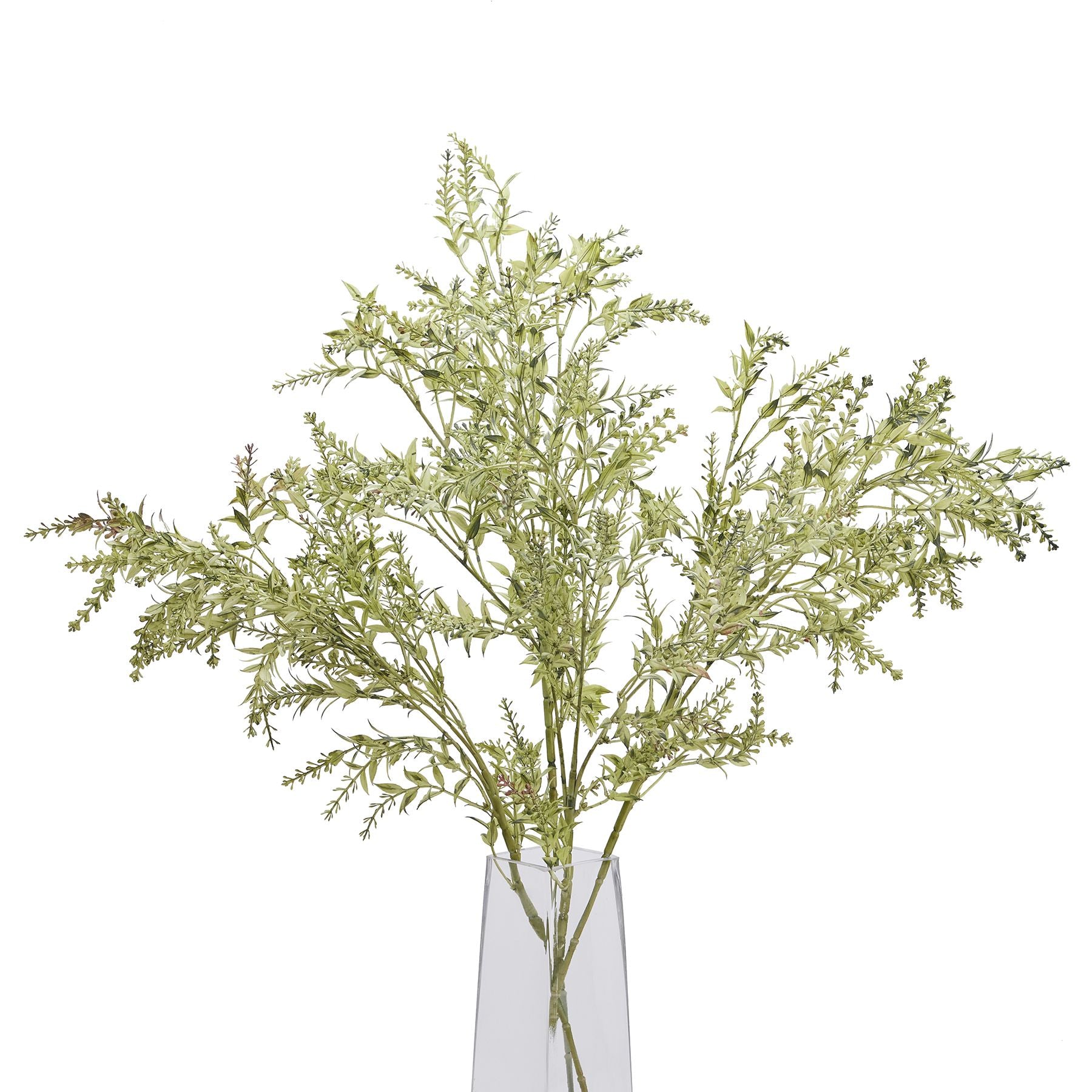 Broom Stem_4497