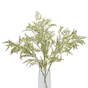 Broom Stem_4497