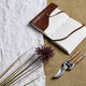 Burgundy Aster Spider Chrysanthemum Stem_4506