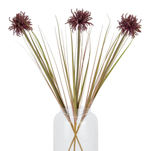 Burgundy Aster Spider Chrysanthemum Stem_4510