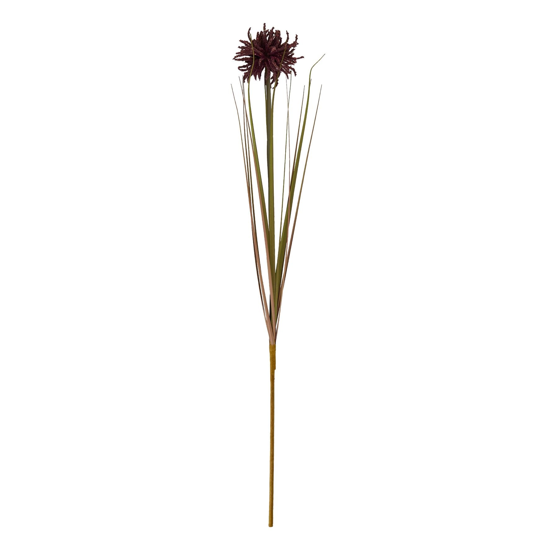 Burgundy Aster Spider Chrysanthemum Stem_4509