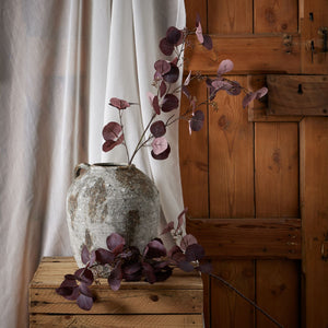 Burgundy Berried Eucalyptus_4513