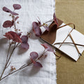 Burgundy Berried Eucalyptus_4511