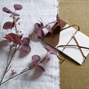Burgundy Berried Eucalyptus_4511