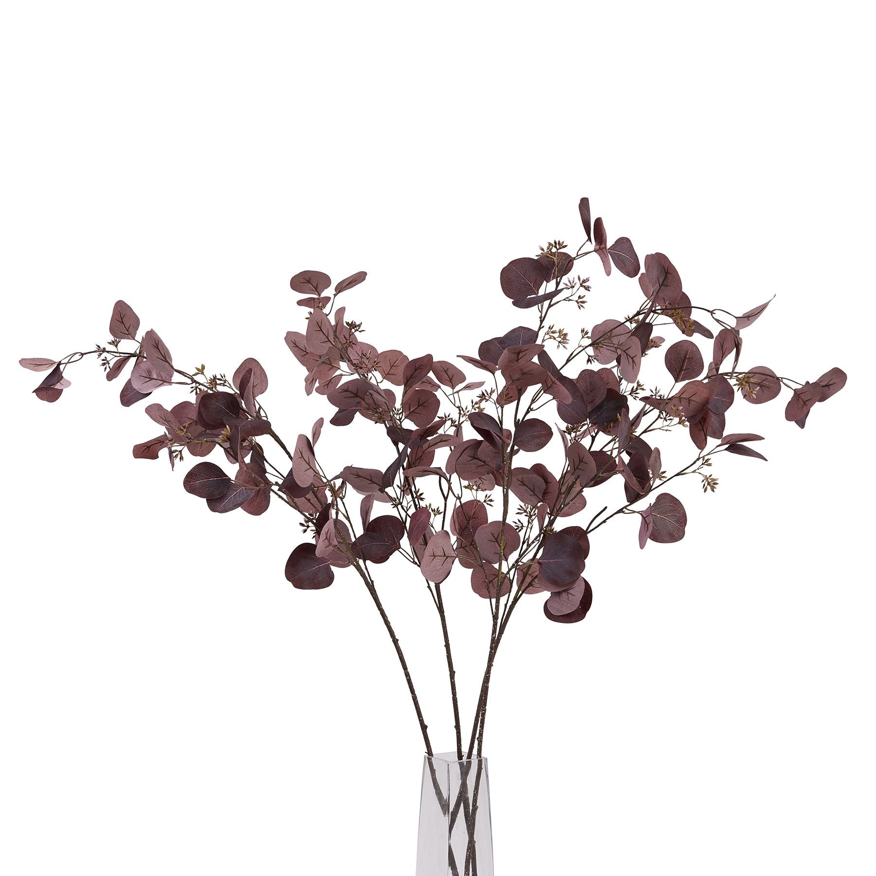 Burgundy Berried Eucalyptus_4515