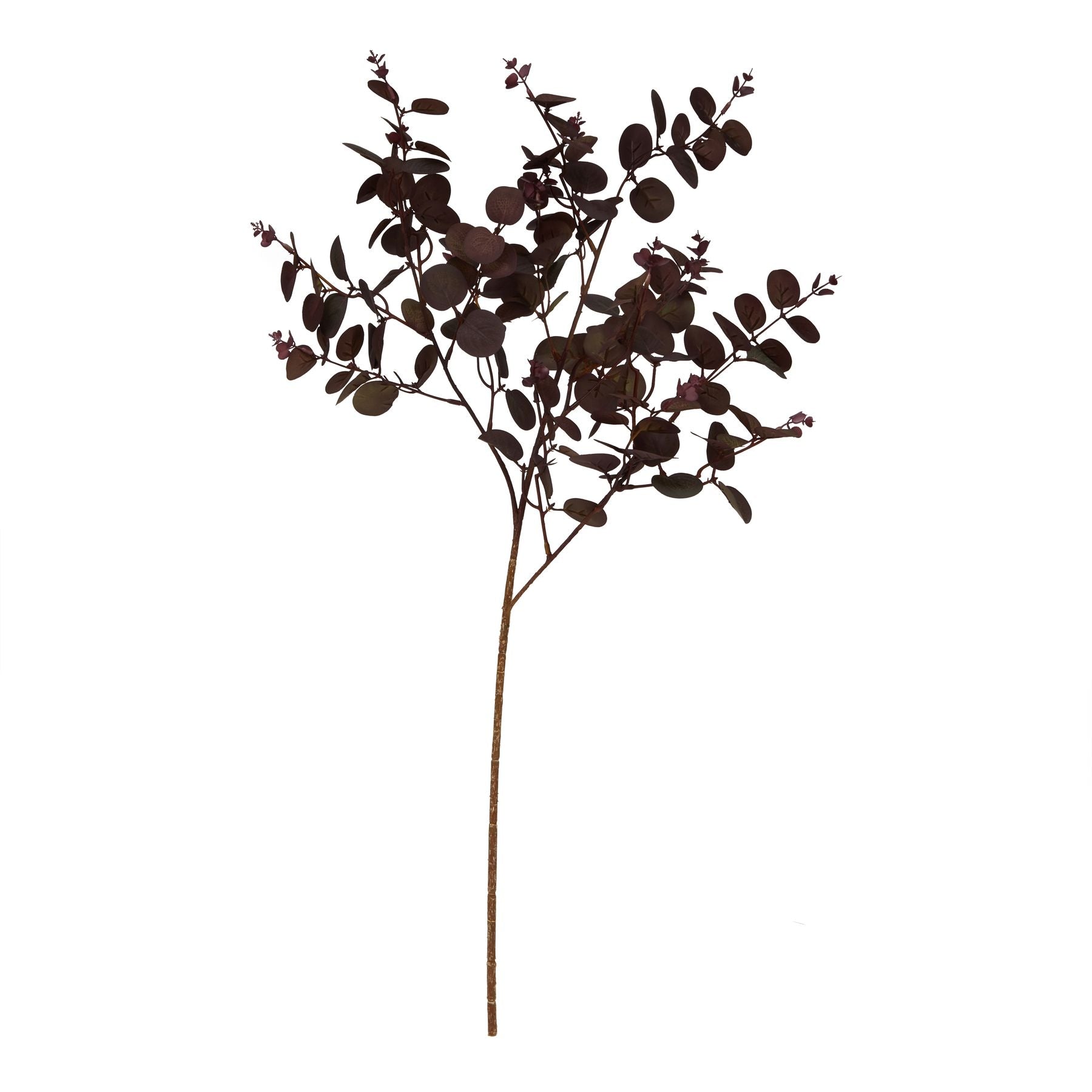 Burgundy Eucalyptus Bunch [cid:23252-b]