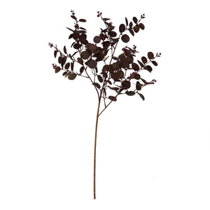 Burgundy Eucalyptus Bunch [cid:23252-b]