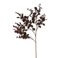 Burgundy Eucalyptus Bunch [cid:23252]