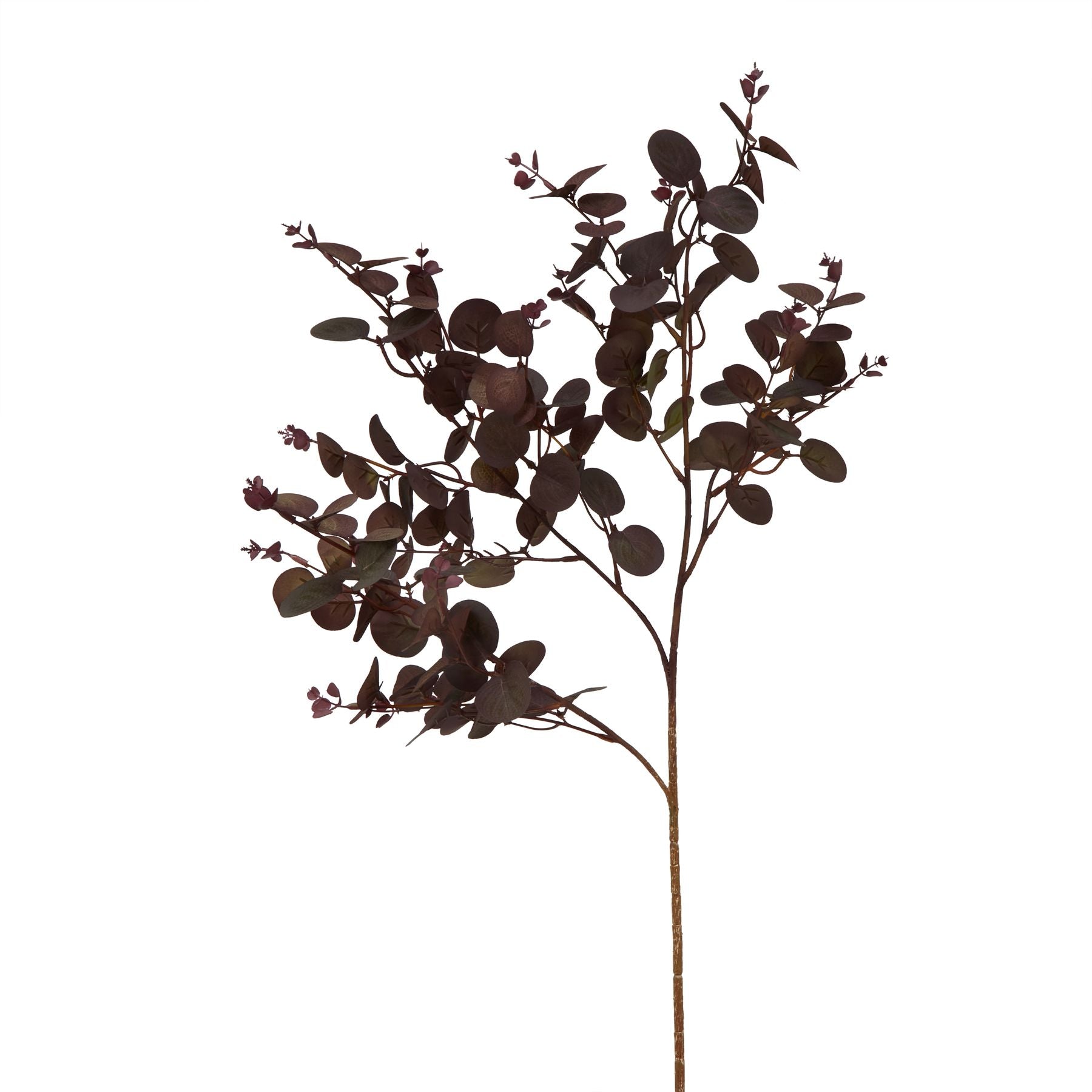Burgundy Eucalyptus Bunch [cid:23252]