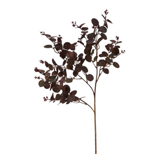Burgundy Eucalyptus Bunch [cid:23252]