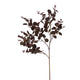 Burgundy Eucalyptus Bunch [cid:23252]