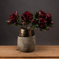Burgundy Peony Rose_4526