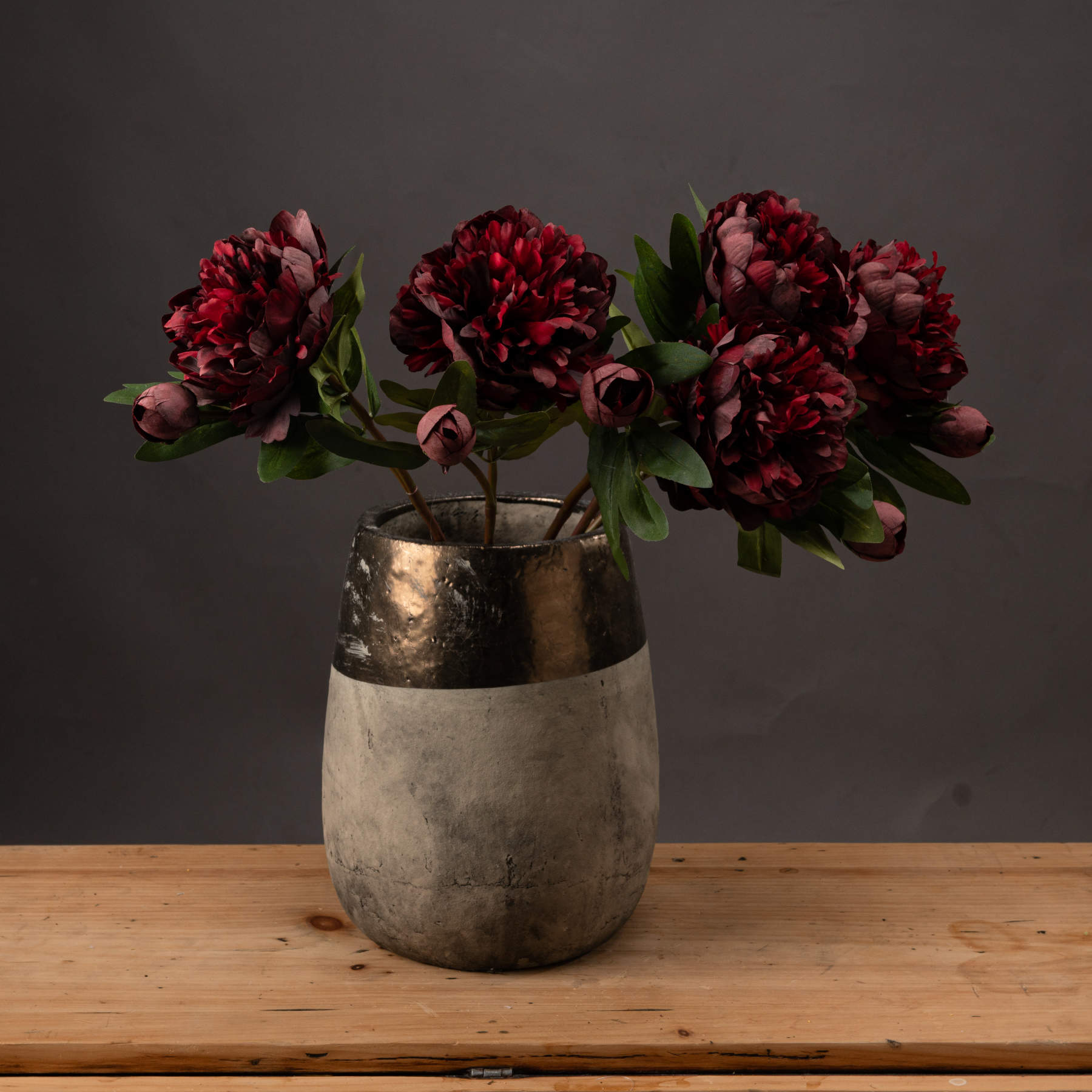 Burgundy Peony Rose_4526